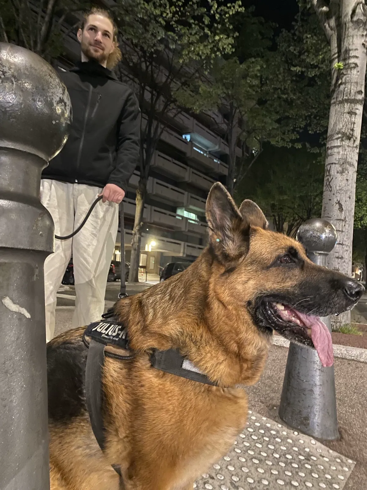 Tonton promenant un chien dans le quartier Saint-Anne, Marseille